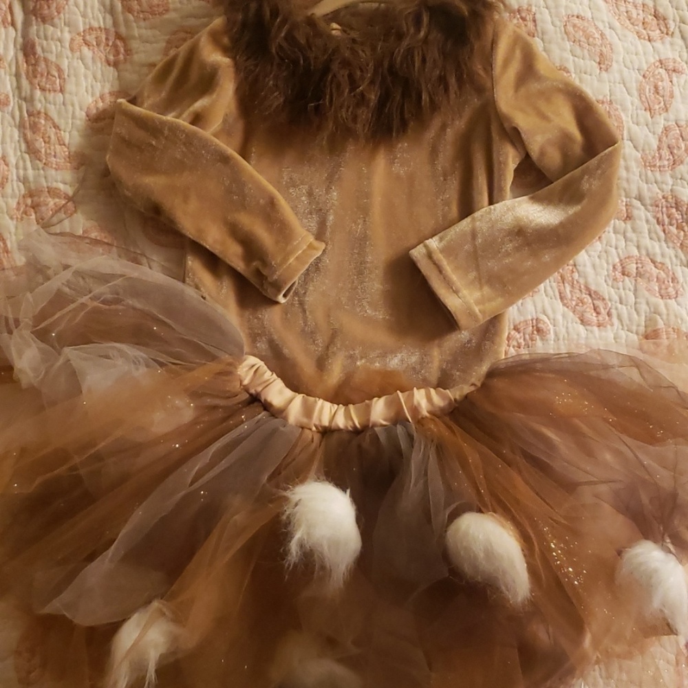 Pottery Barn Kids Lion costune